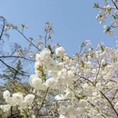 北京旅游 缩略图 5