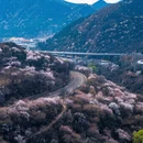 北京旅游 缩略图 3