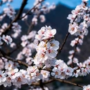 北京旅游 缩略图 7