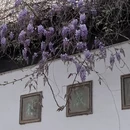 苏州旅游 缩略图 2