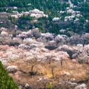 北京旅游 缩略图 2