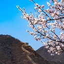 北京旅游 缩略图 9