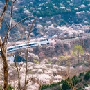 北京旅游 缩略图 1