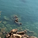 大连旅游 缩略图 6