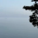 大连旅游 缩略图 11