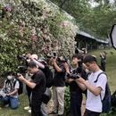 深圳旅游 缩略图 7