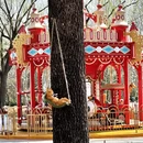 北京旅游 缩略图 7