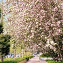 北京旅游 缩略图 3