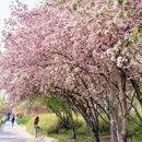 北京旅游 缩略图 1