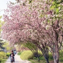北京旅游 缩略图 5