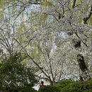 北京旅游 缩略图 2