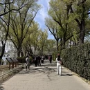 北京旅游 缩略图 9