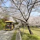 无锡旅游 缩略图 5