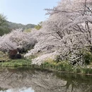 无锡旅游 缩略图 2
