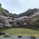 杭州旅游 缩略图 11