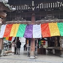 杭州旅游 缩略图 13