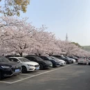 无锡旅游 缩略图 8