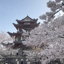 无锡旅游 缩略图 10