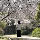 无锡旅游 缩略图 12