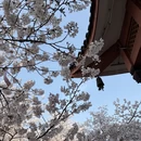 无锡旅游 缩略图 5