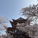无锡旅游 缩略图 6