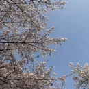 无锡旅游 缩略图 10