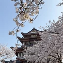 无锡旅游 缩略图 8
