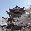 无锡旅游 缩略图 7