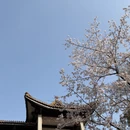 无锡旅游 缩略图 14