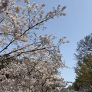 无锡旅游 缩略图 13