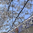 长沙旅游 缩略图 3