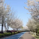 杭州旅游 缩略图 2