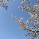 杭州旅游 缩略图 3