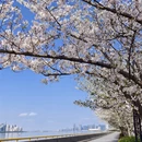 杭州旅游 缩略图 7