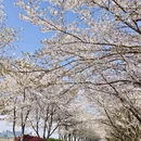 杭州旅游 缩略图 5