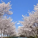 杭州旅游 缩略图 8