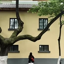 南京旅游 缩略图 9