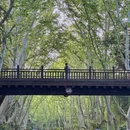 南京旅游 缩略图 6
