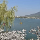 南京旅游 缩略图 11