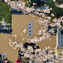 南京旅游 缩略图 12