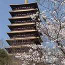南京旅游 缩略图 6