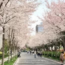 南京旅游 缩略图 2