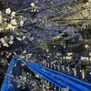 南京旅游 缩略图 5