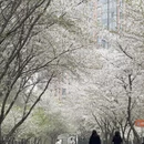 南京旅游 缩略图 4