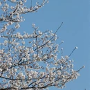 南京旅游 缩略图 12