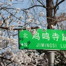 南京旅游 缩略图 13
