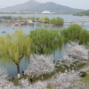 南京旅游 缩略图 9