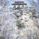 南京旅游 缩略图 1