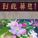 南京旅游 缩略图 3
