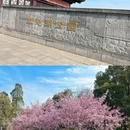 南京旅游 缩略图 2